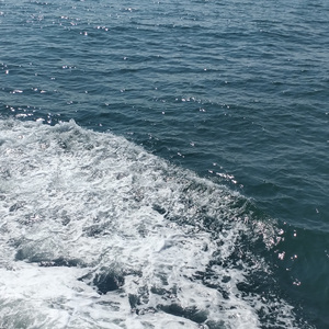 音频提取_202212_track1