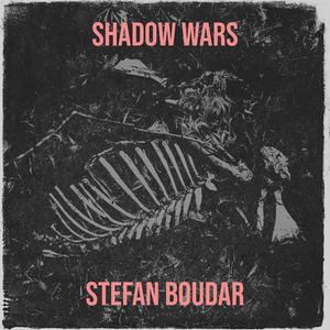 Shadow Wars