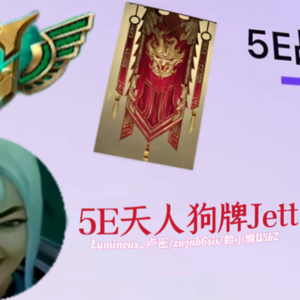 5E天人榜狗牌Jett