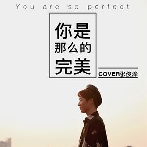 你是那么的完美