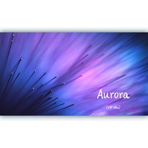 [Demo] Aurora（Syro夏旦 VIP Mix ）