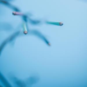 If We Could Sculpt The Air (feat. António Sá-Dantas)