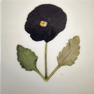 This Is Love (feat. Cory Hale)