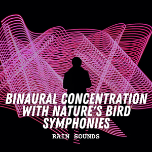 Bird Serenade in Rain's Embrace