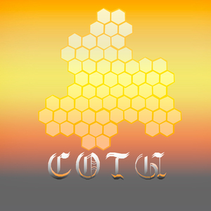 Соты