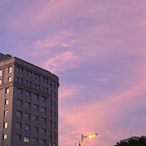 Lost you（prod by Morrow x Sogimura)