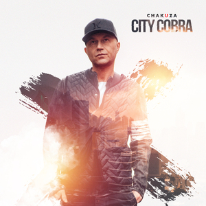 Ein verdammter Song 2.0