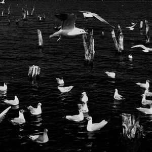 Various Artists-山野千里 你是我藏在星星里的浪漫（鹿小颜Remix remix）