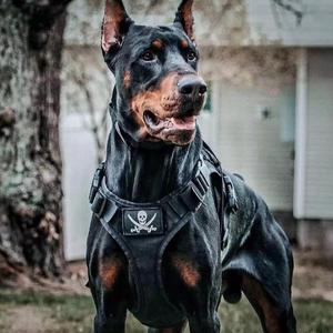 最后一张牌永远是真诚 DJ版