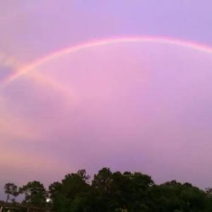 长腿叔叔 (抖音热播版)