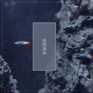 始発前、遠い海辺にて