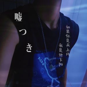 如果你是天上月我是地下阳