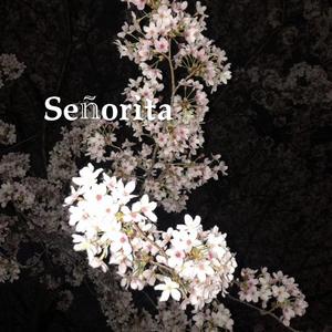 Señorita（Remix）