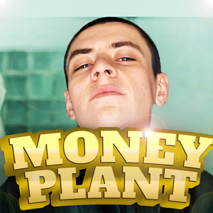 Money Plant