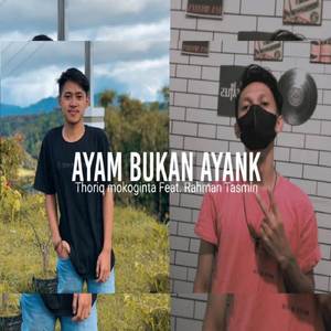 Ayam Bukan Ayank (Remix Disco Tanah)