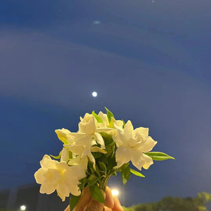 原来爱也会消失