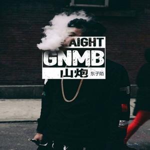 原来占据你内心的人不是我 (DJ版)