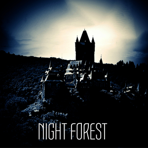 Night Forest