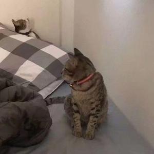 晚安（prod.by Red killer）