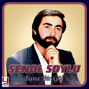 Munzur Dağı Silelenmiş