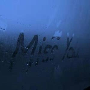 陶峻汐-我想你了（Hurryt Remix）