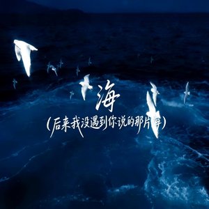 后来我没遇见那片海 也没见你拍过的那片蓝.wav
