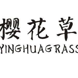 Sweety - 樱花草（MOAK . L3o李 Remix）