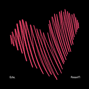 Echo