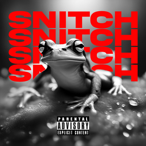 Snitch