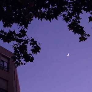 好像掉进爱情海里（翻自 万象凡音）