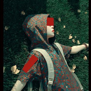 春風に揺れる桜の道