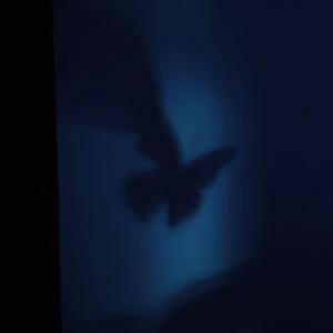 我想/想想再说（prod by Bubbleboy）