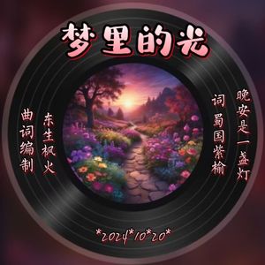 梦里的光