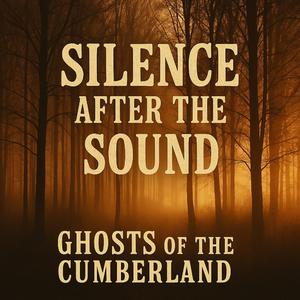 Silence After The Sound