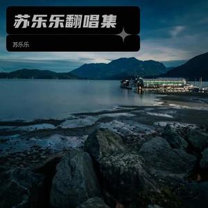 谁明浪子心 (苏乐乐 remix)