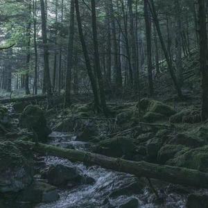 Life or love(prod.by BLACKFAT洪如超）