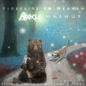 Fireflies In Heaven (Akku Mashup)