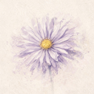 紫苑の咲く丘で (feat. 花隈千冬)