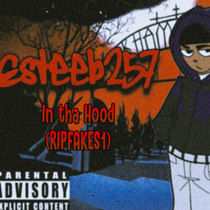 Esteeb257 - In Tha Hood (Ripfakes1)