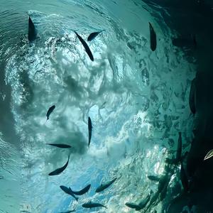 心如止水铜雀锁金钗