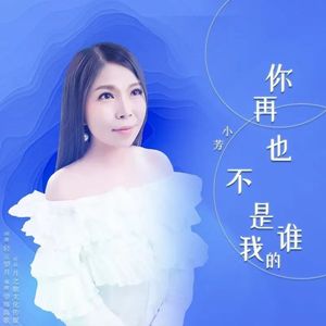你再也不是我的谁（DJ版）