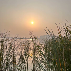 觅知音（笛子版）