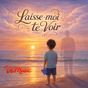 Laisse-moi te voir