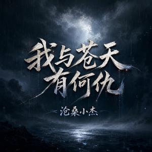 我与苍天有何仇