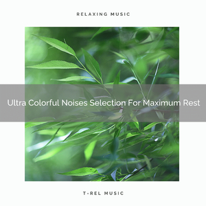 Dive Into Water Sounds