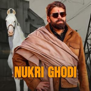 Nukri Ghodi (feat. Im Anil)