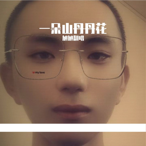 一朵山丹丹花 伴奏