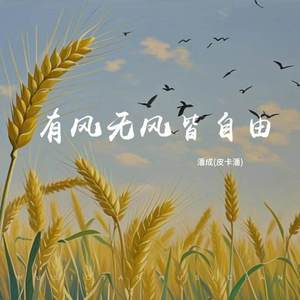 有风无风皆自由