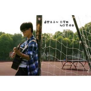 追梦赤子心 口琴版