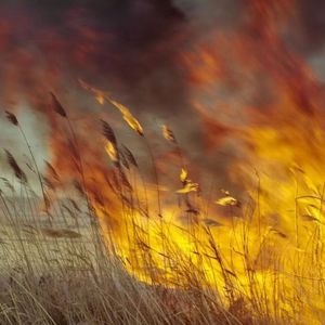 野火(prod by Jeston)